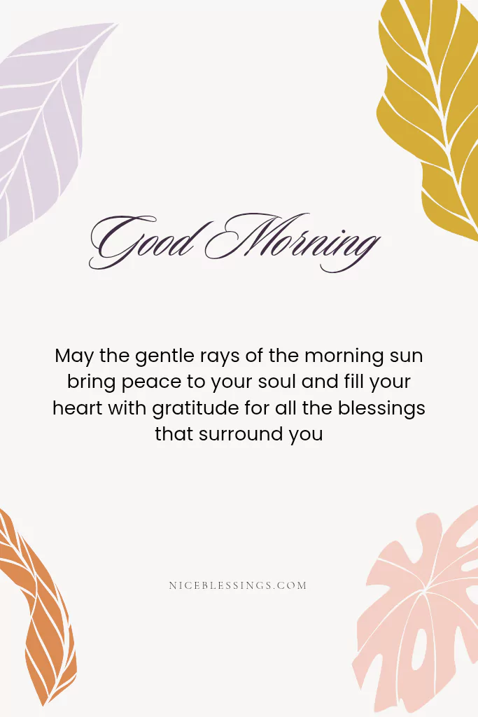 good morning happy wednesday have a blessed day