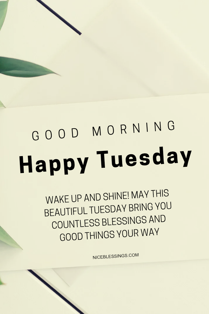 Tuesday Morning Images
